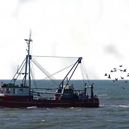 Apartment Deichschatz