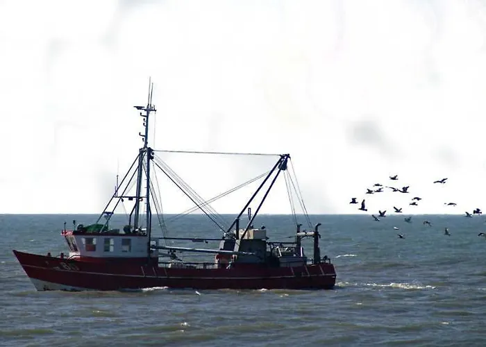 Apartman Deichschatz