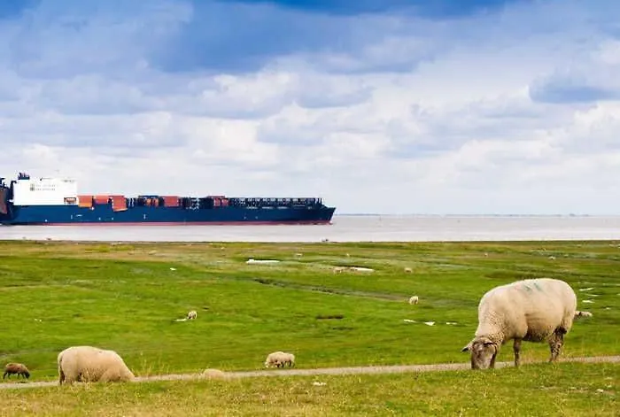 Deichschatz Apartman Cuxhaven