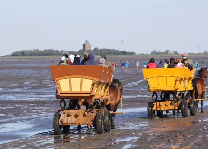 Deichschatz Apartman Cuxhaven